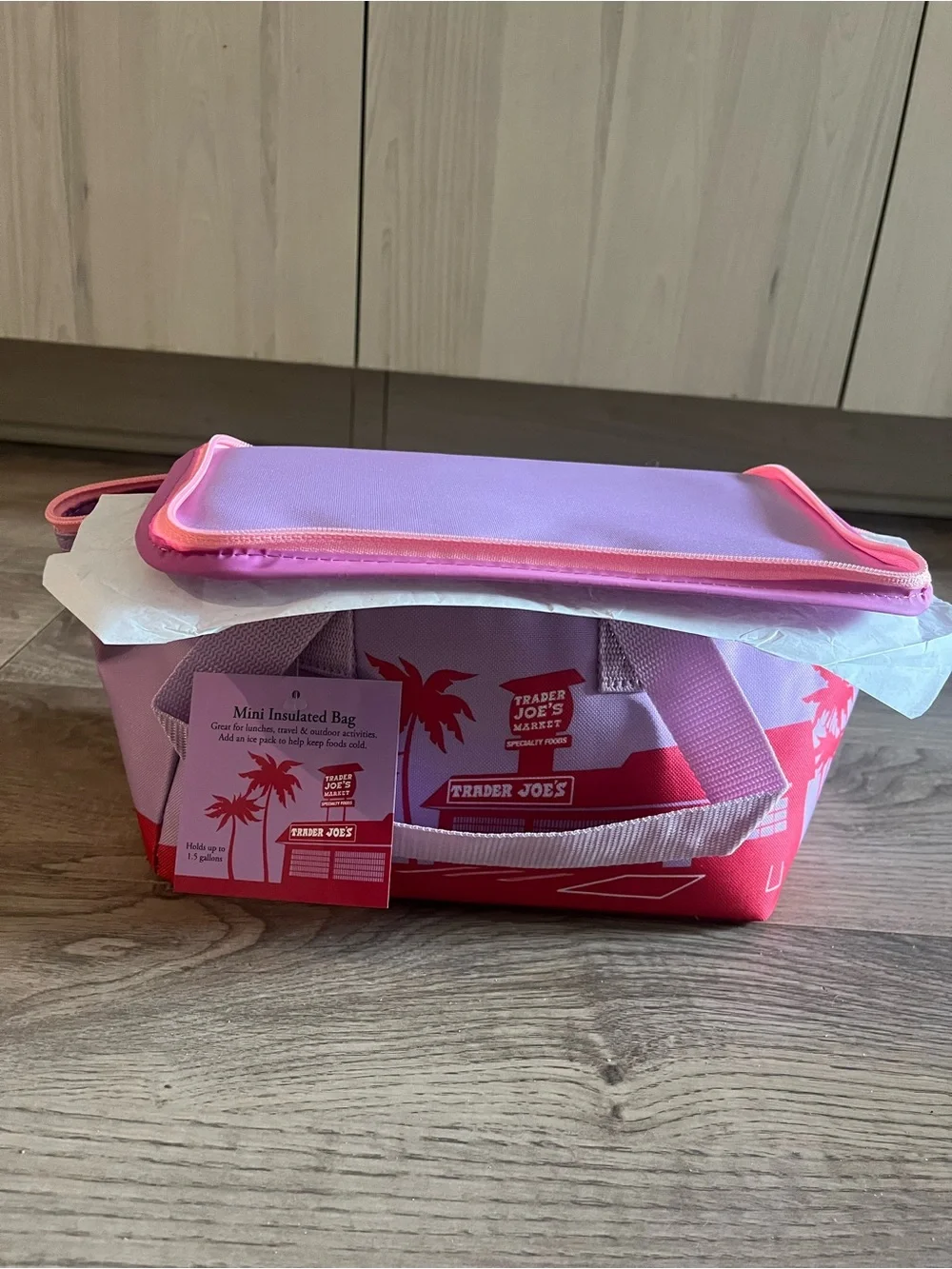 Trader Joe’s Purple and Pink Insulated Lunch Bag